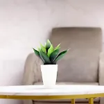 Dina House Apartment *